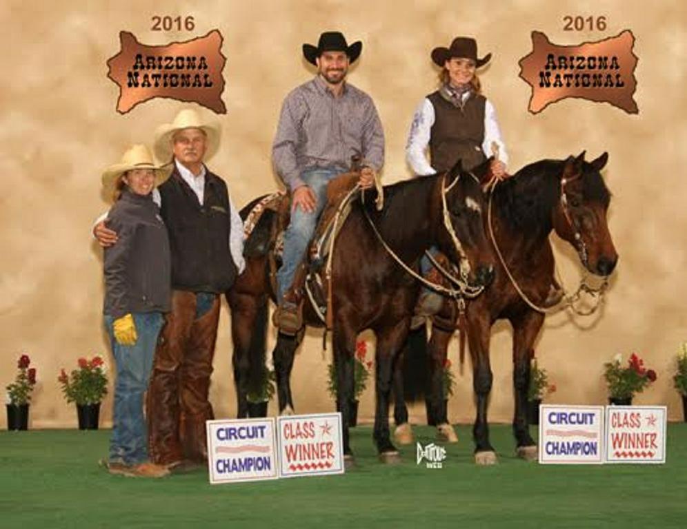 Pictures for Equine Sport Solutions & Factor Performance Horses in Woodland Park, CO 80863